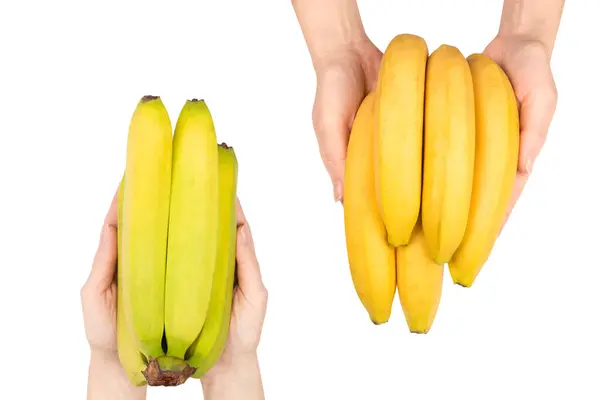 Hromada Banánů Ruce Ženy Izolované Bílém Pozadí — Stock fotografie