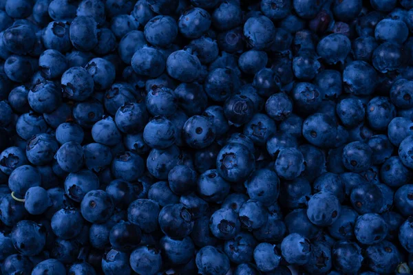 Fresh Blueberry Background Texture Blueberry Berries Close — Foto Stock