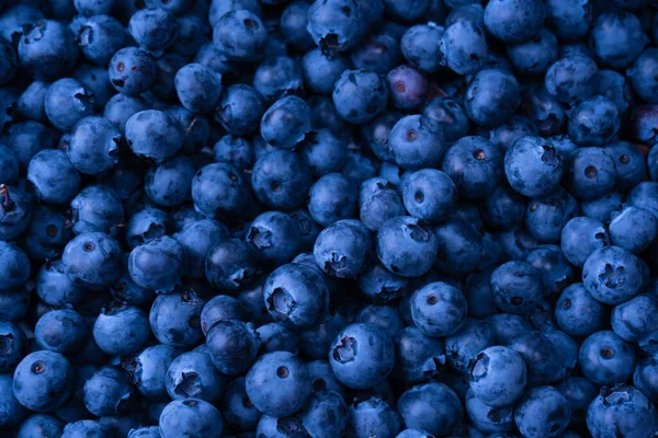 Fresh Blueberry Background Texture Blueberry Berries Close — Stock Photo, Image