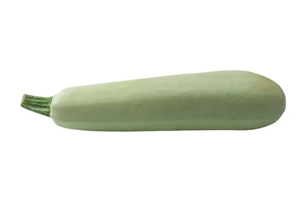 Fresh Zucchini Diisolasi Latar Belakang Putih — Stok Foto