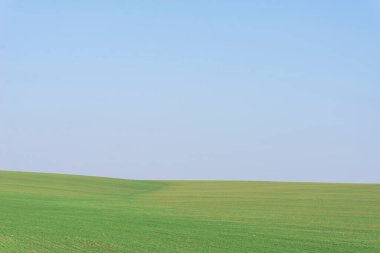 Arkaplan olarak mavi gökyüzü olan yeşil alan.  