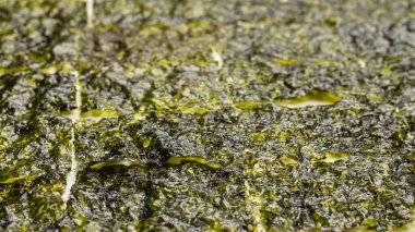 Beyaz arka planda izole edilmiş lezzetli yosun.. 