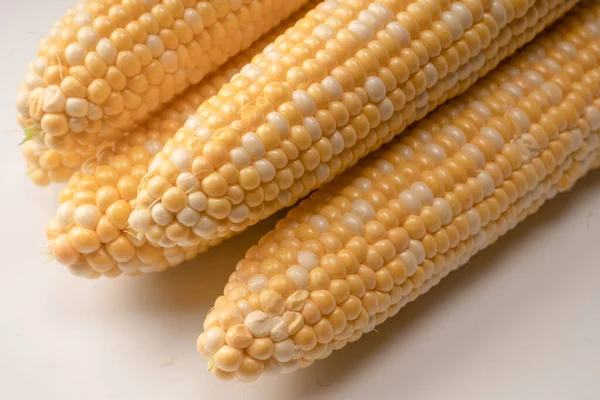 Yellow sweet corn isolated on white background. Copyspace.