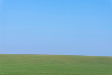 Arkaplan olarak mavi gökyüzü olan yeşil alan.  