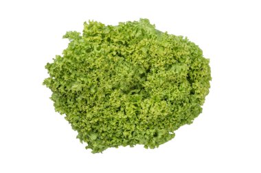 Beyaz arkaplanda izole edilmiş buzdağı marulu. 