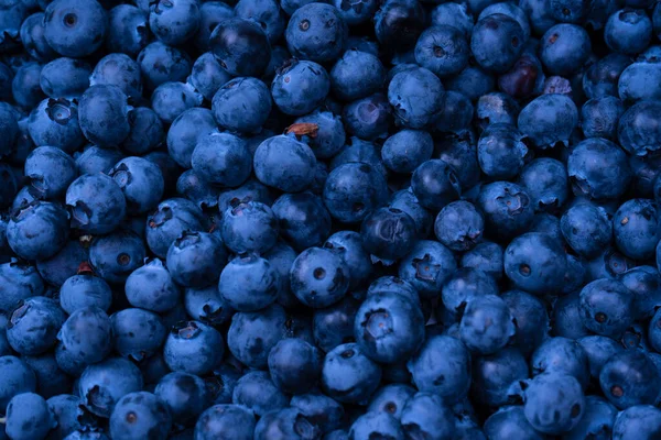 Fresh Blueberry Background Texture Blueberry Berries Close — ストック写真