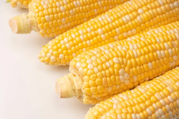 Yellow sweet corn isolated on white background. Copyspace.