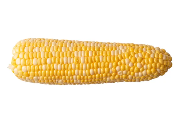 Yellow Sweet Corn Isolated White Background Copyspace — 스톡 사진