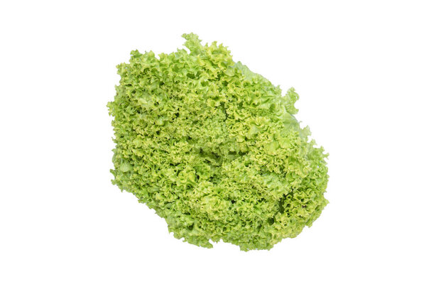 Iceberg lettuce isolated on a white background. 
