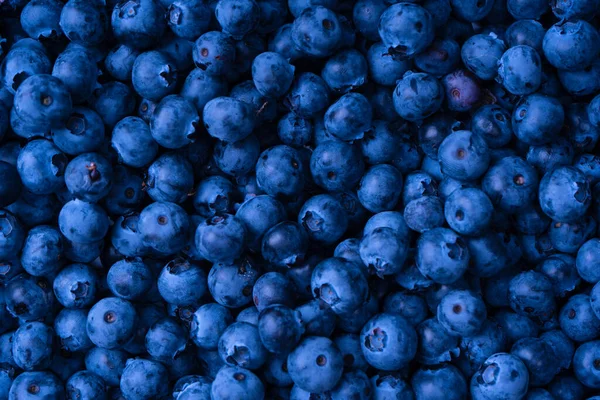 Fresh Blueberry Background Texture Blueberry Berries Close — Stockfoto