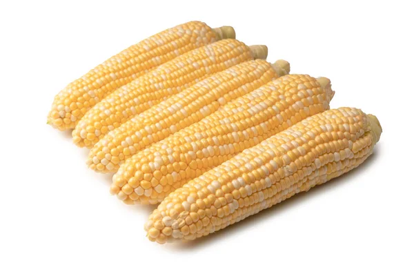 Жовта Солодка Кукурудза Ізольована Білому Тлі Копіспазмі — стокове фото