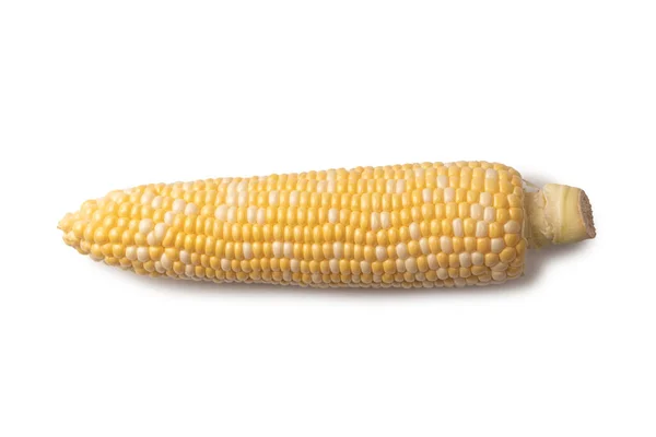 Yellow Sweet Corn Isolated White Background Copyspace — 스톡 사진