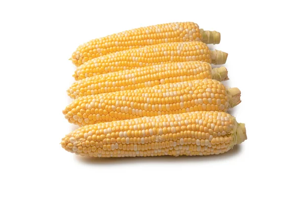 Yellow Sweet Corn Isolated White Background Copyspace — Stockfoto