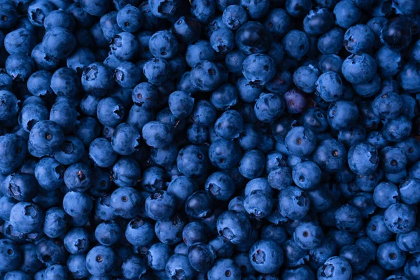 Fresh Blueberry Background Texture Blueberry Berries Close — Stock fotografie