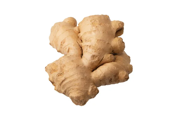 Ginger Root Isolated White Background — Stock Photo, Image