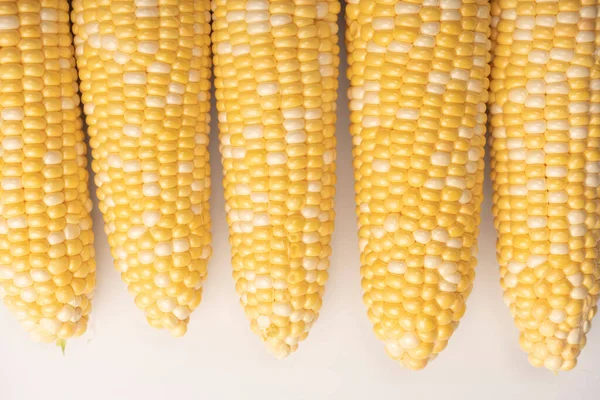 Yellow Sweet Corn Isolated White Background Copyspace — Stok fotoğraf