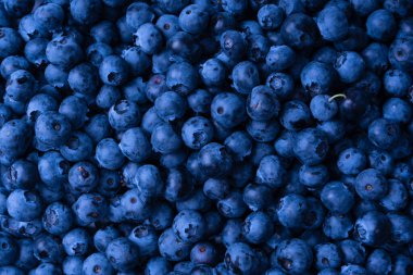 Fresh blueberry as a background. Texture blueberry berries close up.