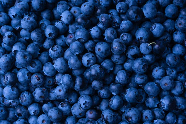 Fresh Blueberry Background Texture Blueberry Berries Close — Stockfoto