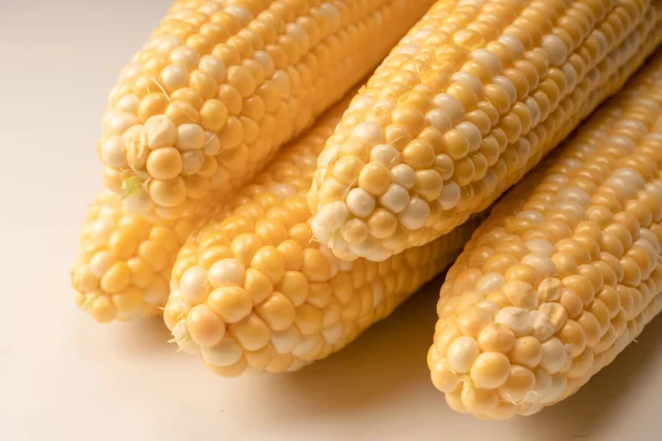 Yellow sweet corn isolated on white background. Copyspace.