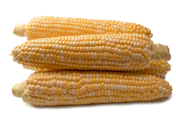 Yellow Sweet Corn Isolated White Background Copyspace — Stock Fotó