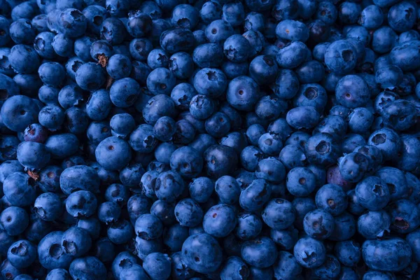 Fresh Blueberry Background Texture Blueberry Berries Close — Zdjęcie stockowe