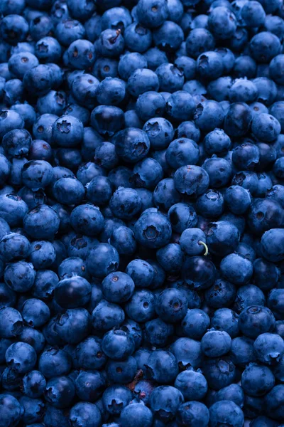 Fresh Blueberry Background Texture Blueberry Berries Close — Stockfoto