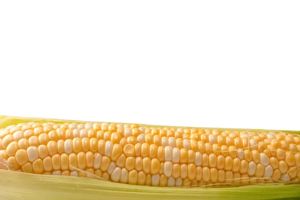 Yellow Sweet Corn Isolated White Background Copyspace — Foto Stock