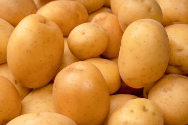 A group of fresh tasty potato as a background. 