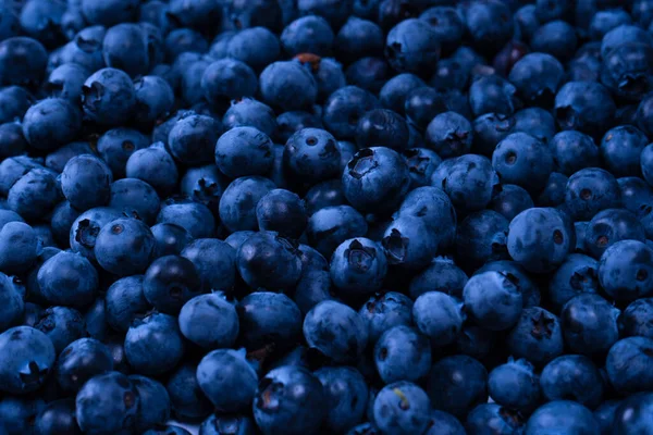 Fresh Blueberry Background Texture Blueberry Berries Close — ストック写真