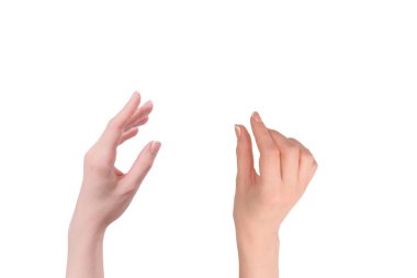 Beyaz arka planda izole edilmiş Fransız manikürlü kadın elleri..