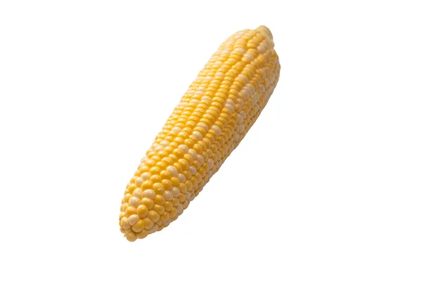 Yellow Sweet Corn Isolated White Background Copyspace — Φωτογραφία Αρχείου