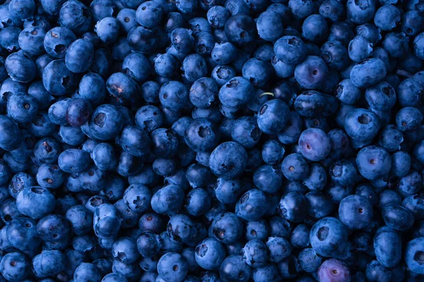 Fresh Blueberry Background Texture Blueberry Berries Close — Foto Stock