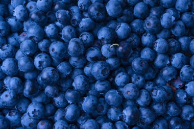 Fresh blueberry as a background. Texture blueberry berries close up.