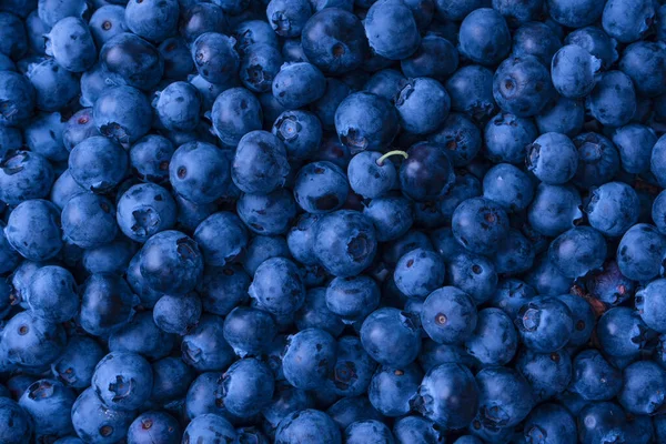 Fresh Blueberry Background Texture Blueberry Berries Close —  Fotos de Stock