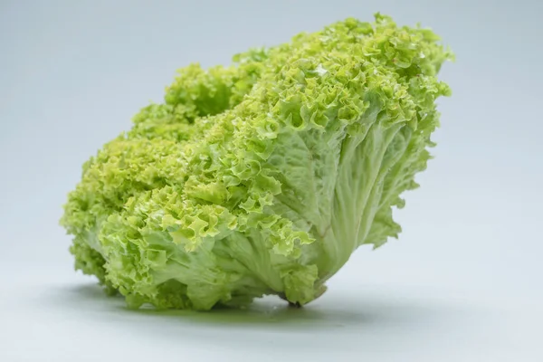 Iceberg lettuce isolated on a white background.