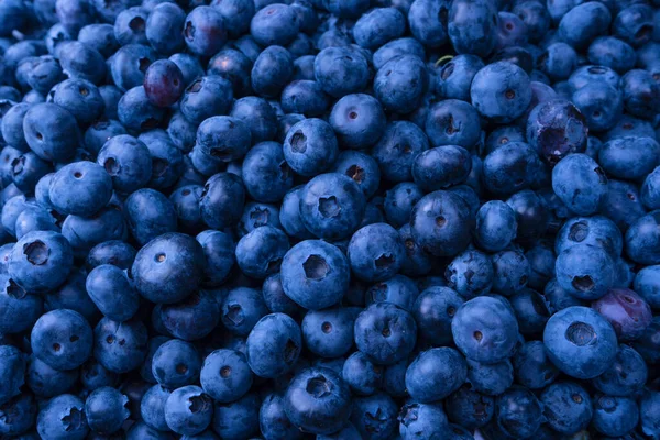 Fresh Blueberry Background Texture Blueberry Berries Close — Foto Stock