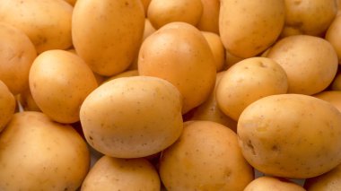 A group of fresh tasty potato as a background. 