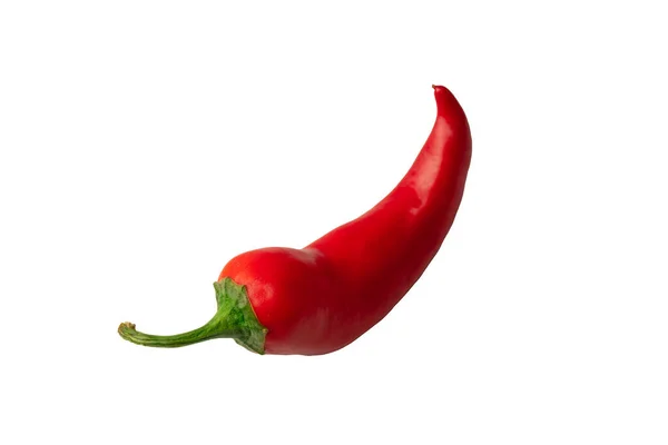 Red Hot Chili Pepper Isolated White Background — Stock Photo, Image