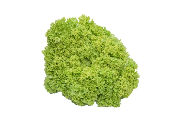 Iceberg lettuce isolated on a white background.