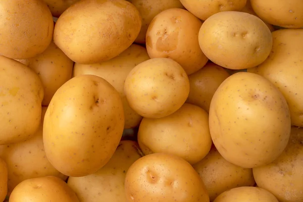 Group Fresh Tasty Potato Background — Zdjęcie stockowe