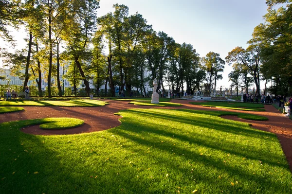 Güzel park ağaçların üzerinden mavi gökyüzü. resmi Bahçe