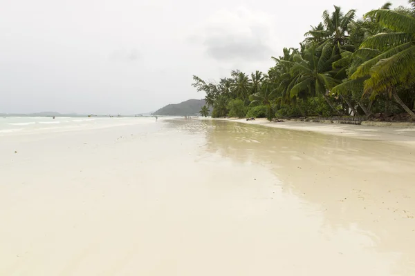 Playa tropical en Seychelles - fondo natural — Foto de Stock