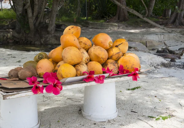 Coconut with tropical flower on exotic coast — Stock Photo, Image