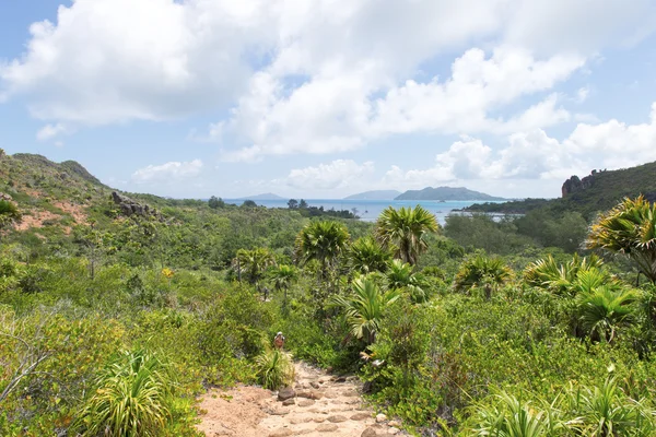 Tropická pláž na Seychelách - přírodní zázemí — Stock fotografie