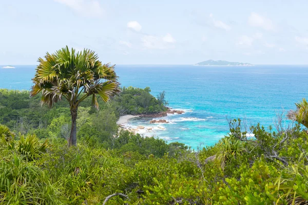 Seyşeller 'deki tropik plaj - doğa geçmişi