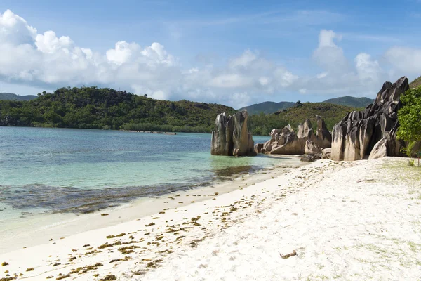 Plage de sable blanc aux Seychelles, Île privée Denis, Océan Indien Image En Vente