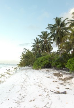 mahe Adası Seyşel Adaları'Beach