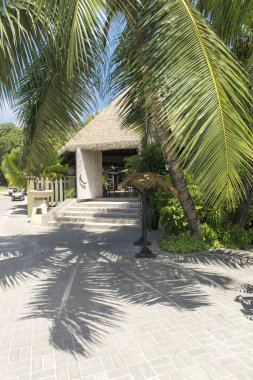 otel tropikal plaj, la digue, Seyşeller - tatil arka plan