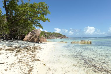 seychelles Adaları, praslin, anse lazio tropikal kum plaj