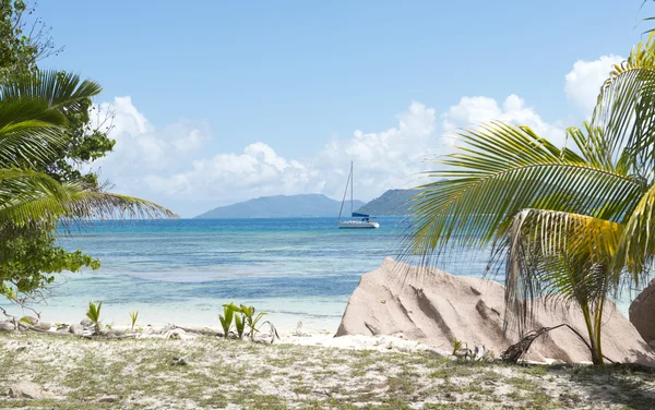 Bella spiaggia tropicale — Foto Stock